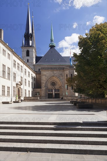 Notre-Dame Cathedral