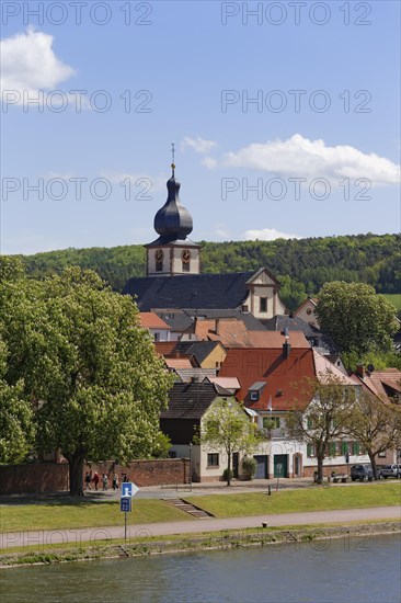 View of Marktheidenfeld