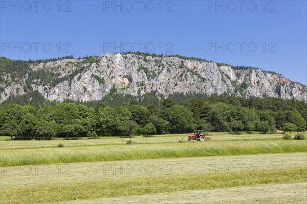 Hohe Wand