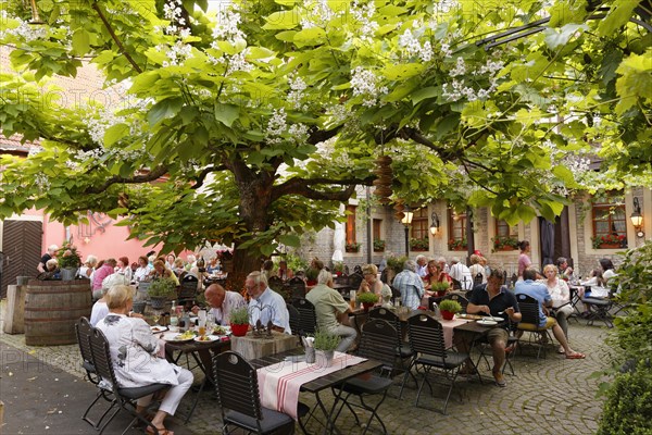 Gasthof zum Storch