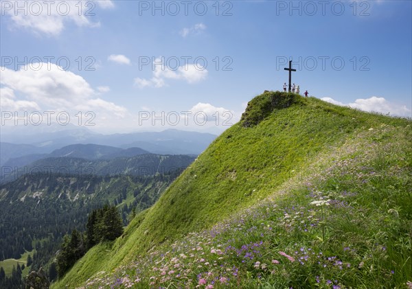 Summit cross and mountain flowers on Hochgern mountain