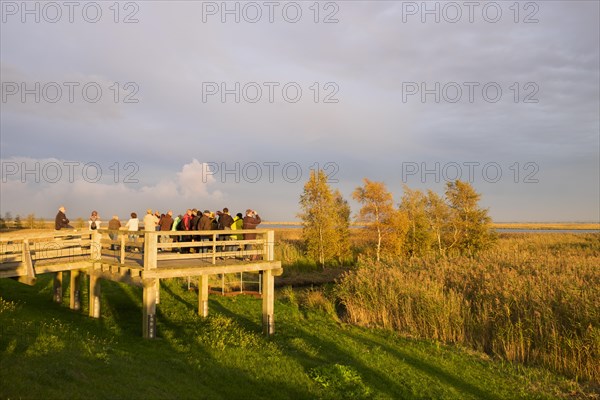 Bird watching deck in the Ostseeheilbad Zingst