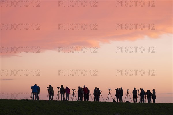 Birdwatchers at the Barth Bodden lagoon