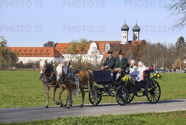 Leonhardi procession