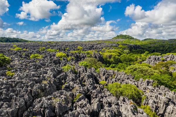 Rugged karst landscape