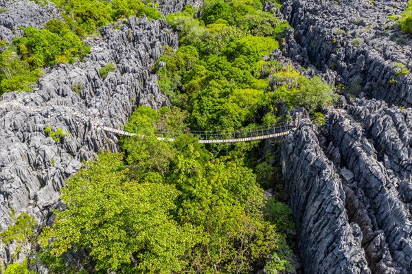 Suspension bridge over rugged karst landscape