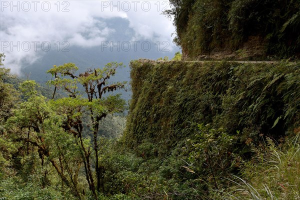 Scarp on Death Road