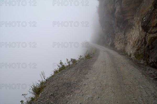 Death Road in fog