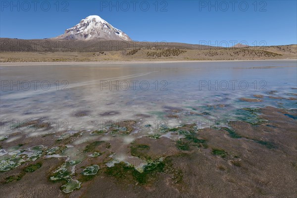 Sajama Volcano and frozen lake on Rio Sajama