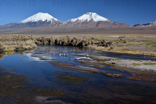 Snowcapped volcanoes Pomerape and Parinacota