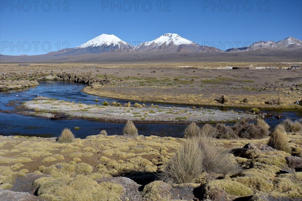 Snowcapped volcanoes Pomerape and Parinacota