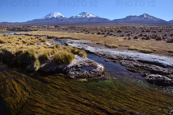 Snowcapped volcanoes Pomerape and Parinacota