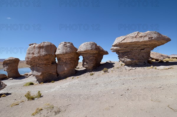 Mushroom rocks