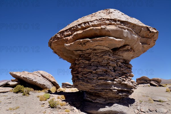 Mushroom rocks
