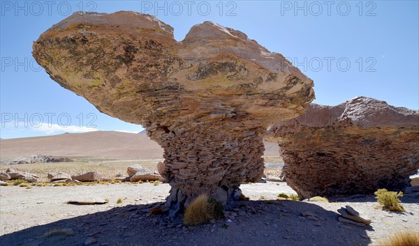 Mushroom rocks