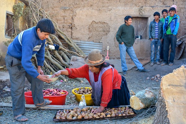 Schoolboy and cook preparing potatoes at a boarding school for breakfast