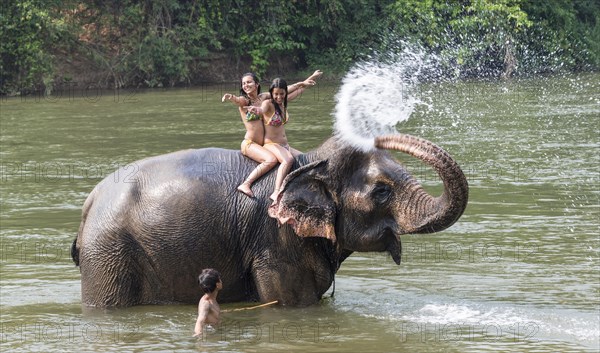 Elephant spraying two tourists with water