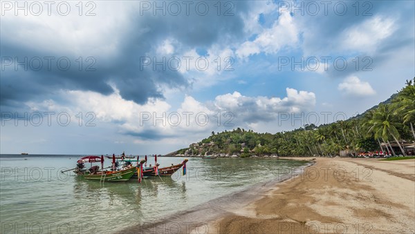 Longtail boats on the sandy beach with palm trees