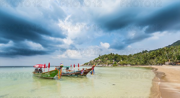 Longtail boats on the sandy beach with palm trees