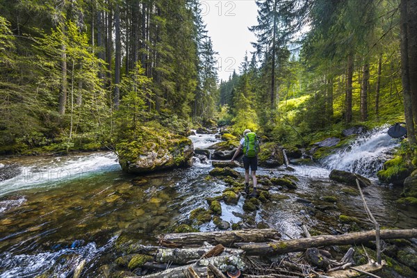 Hiker walking along a river