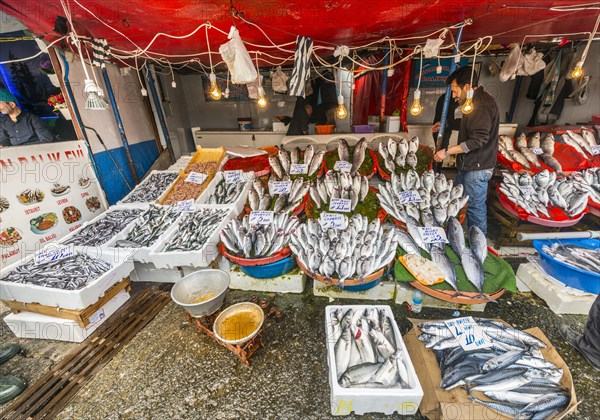 Fish Market