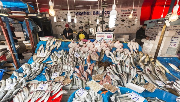 Fish Market