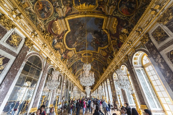 Hall of Mirrors