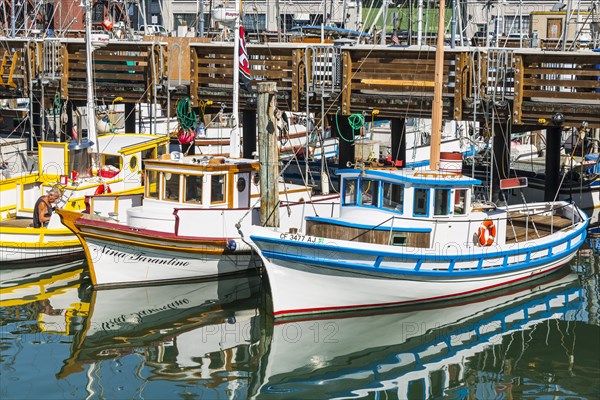 Fishing boats in the harbor