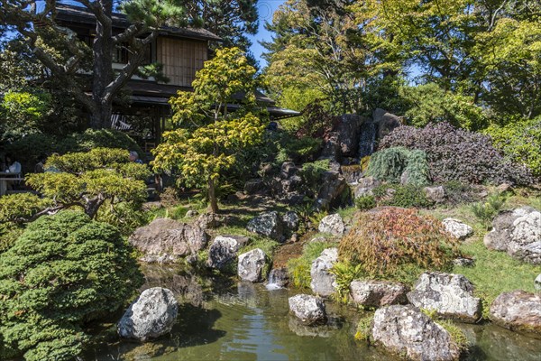 Japanese Tea Garden