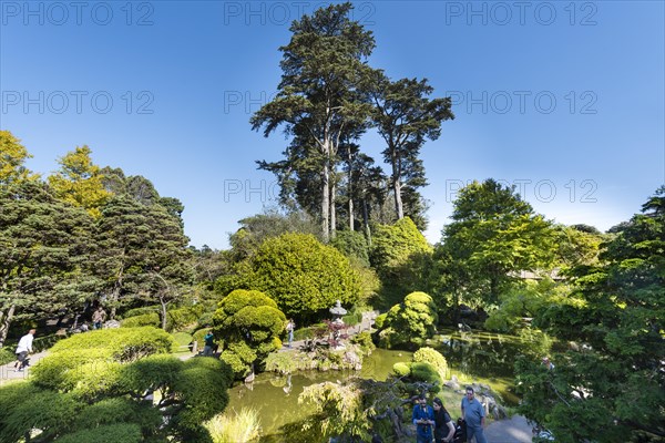 Japanese Tea Garden