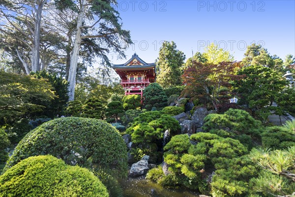 Japanese Tea Garden