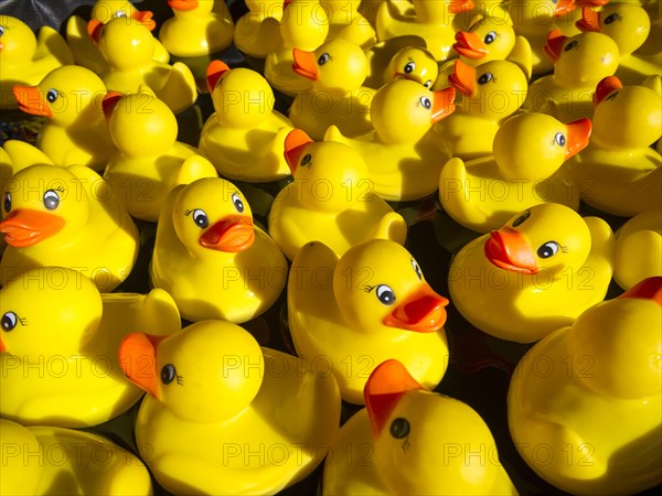 Rubber ducks