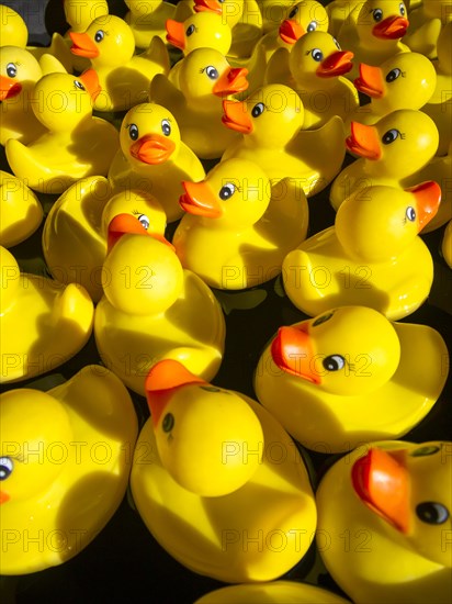 Rubber ducks