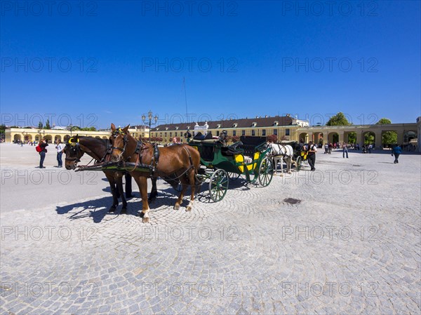 Horse-drawn carriage in front of Schonbrunn Palace