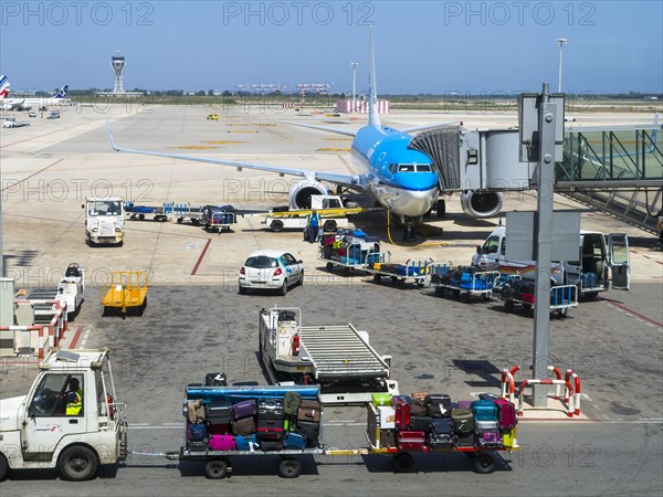 KLM aircraft at the terminal with luggage trollies