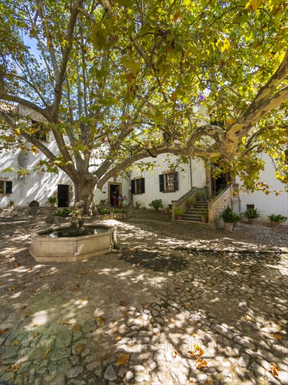 Mansion in the Jardines de Alfabia