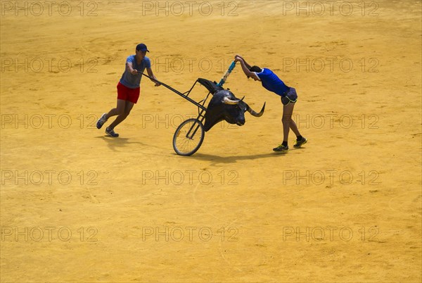 Toreros practicing bullfighting