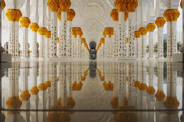 Sheikh Zayed Mosque