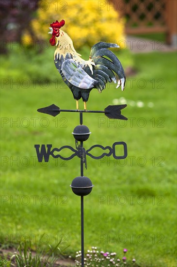 Weathercock made of sheet metal in a garden