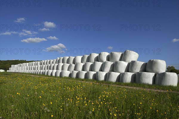 Wrapped silage bales