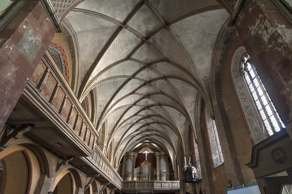 Gothic vault with organ loft