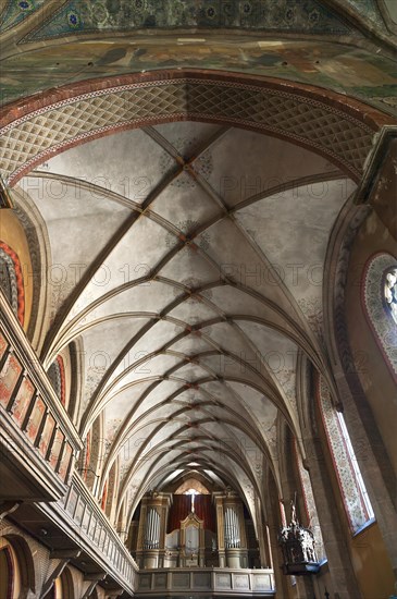 Gothic vault with organ loft