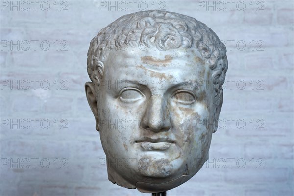 Bust of Titus