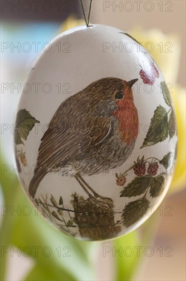 Duck egg with painted on Robin