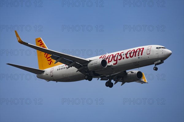 Pegasus Airlines