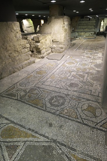 Crypt in the cathedral