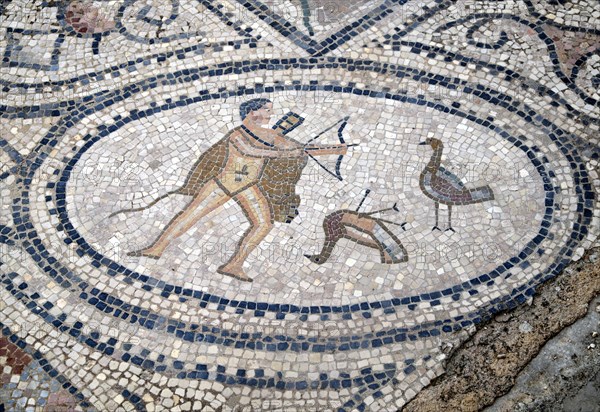 Floor mosaic