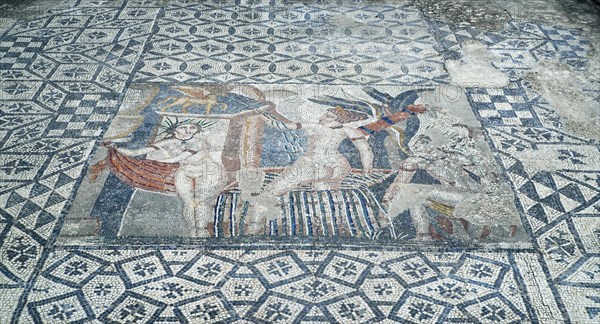 Floor mosaic