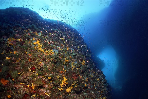 Underwater rocks