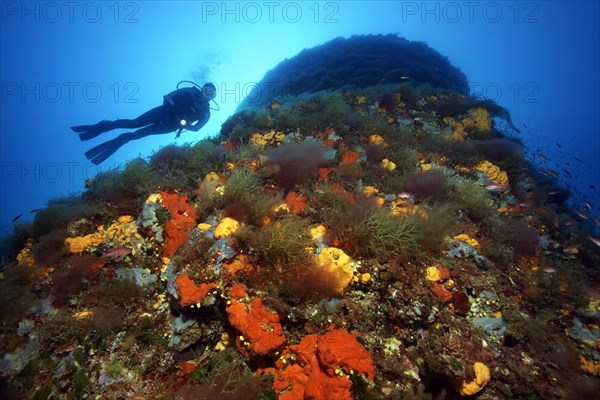 Diver by a rock face